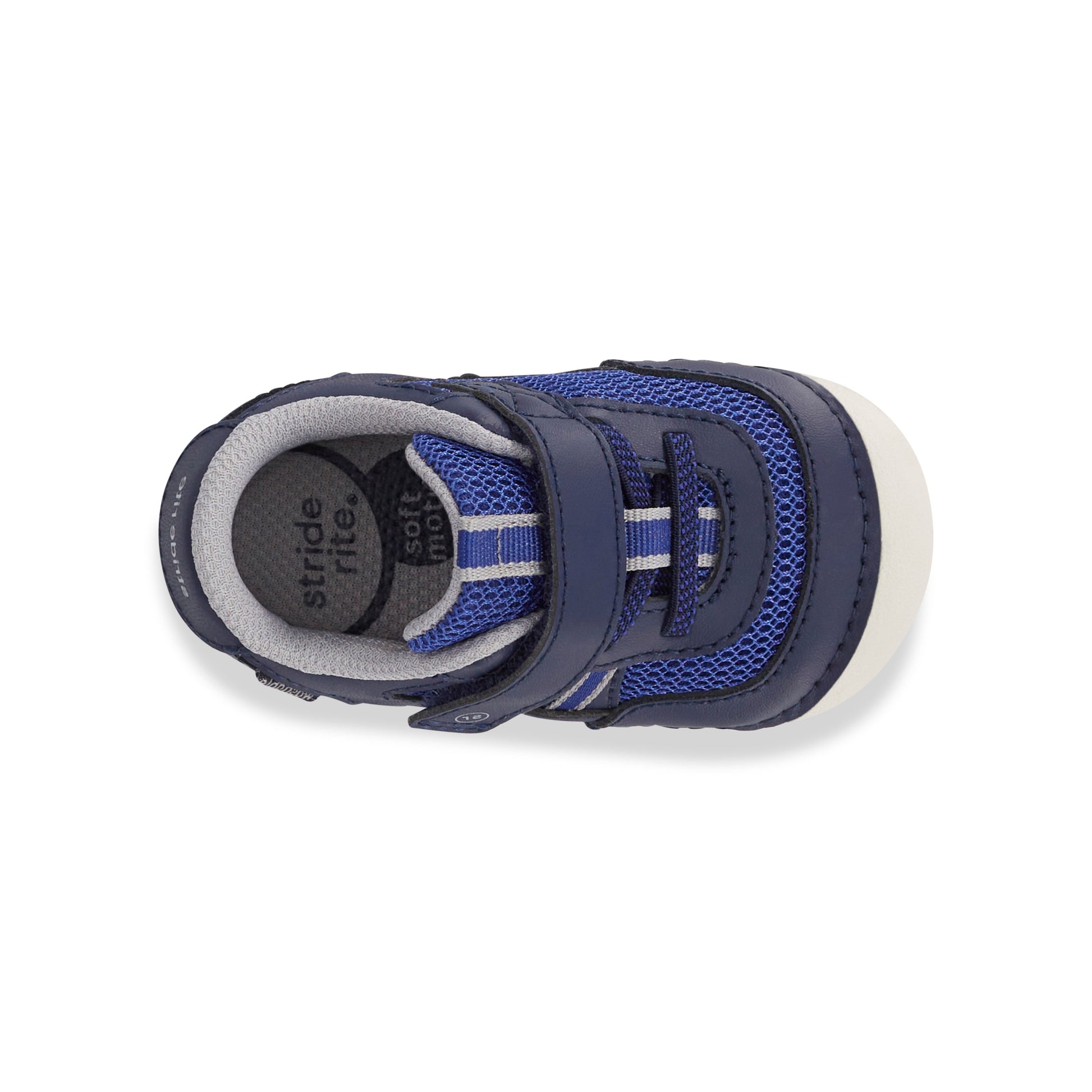 Apollo Sneaker - Little Kid Blue